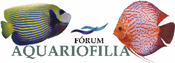 aquariofilia.gif