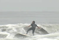 mainward.gif