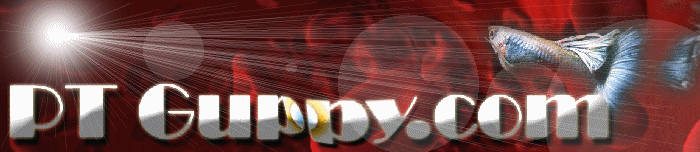 ptguppy.gif